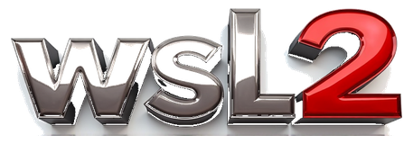 wsl2 logo